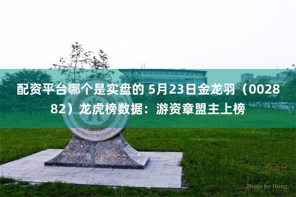 配资平台哪个是实盘的 5月23日金龙羽（002882）龙虎榜数据：游资章盟主上榜
