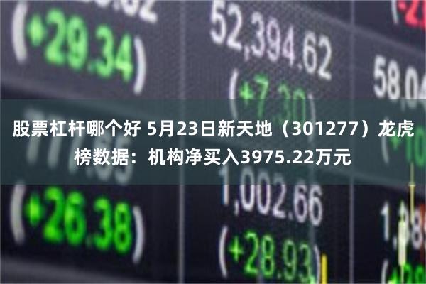 股票杠杆哪个好 5月23日新天地(301277)龙虎榜数据:机构净买入3975.22万元