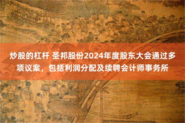 炒股的杠杆 圣邦股份2024年度股东大会通过多项议案，包括利润分配及续聘会计师事务所