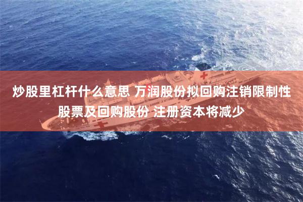 炒股里杠杆什么意思 万润股份拟回购注销限制性股票及回购股份 注册资本将减少