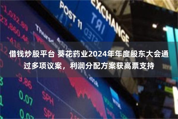 借钱炒股平台 葵花药业2024年年度股东大会通过多项议案，利润分配方案获高票支持