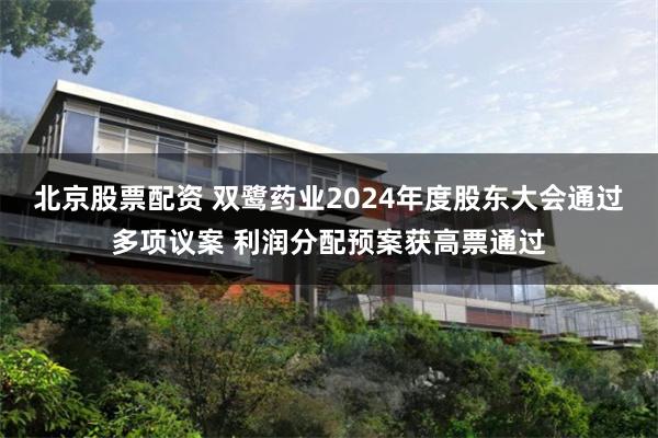北京股票配资 双鹭药业2024年度股东大会通过多项议案 利润分配预案获高票通过