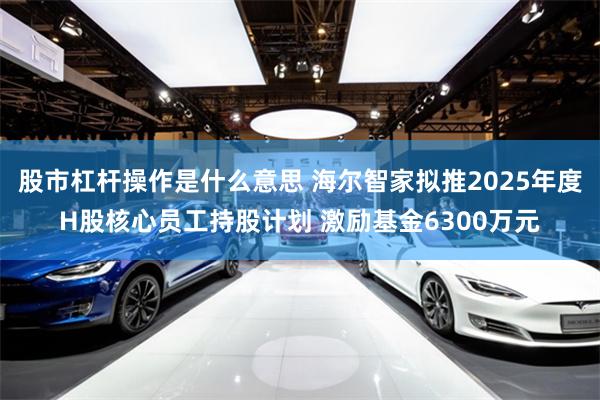 股市杠杆操作是什么意思 海尔智家拟推2025年度H股核心员工持股计划 激励基金6300万元