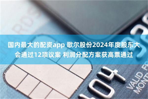 国内最大的配资app 歌尔股份2024年度股东大会通过12项议案 利润分配方案获高票通过