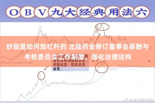 炒股是如何加杠杆的 北陆药业修订董事会薪酬与考核委员会工作制度，强化治理结构