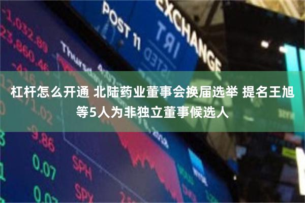 杠杆怎么开通 北陆药业董事会换届选举 提名王旭等5人为非独立董事候选人