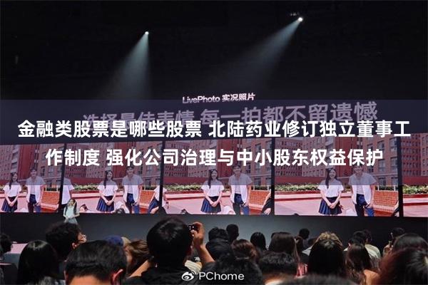 金融类股票是哪些股票 北陆药业修订独立董事工作制度 强化公司治理与中小股东权益保护