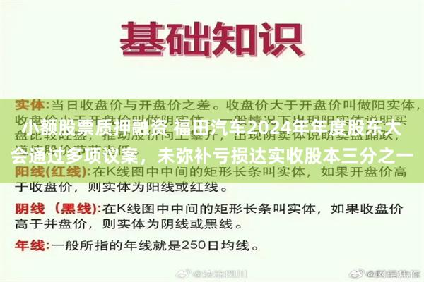 小额股票质押融资 福田汽车2024年年度股东大会通过多项议案，未弥补亏损达实收股本三分之一