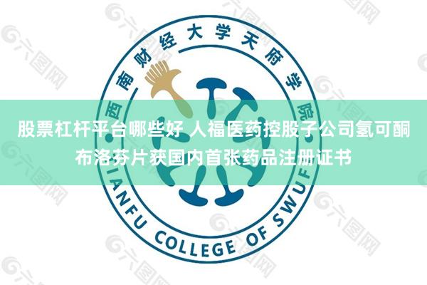 股票杠杆平台哪些好 人福医药控股子公司氢可酮布洛芬片获国内首张药品注册证书