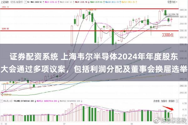 证券配资系统 上海韦尔半导体2024年年度股东大会通过多项议案,包括利润分配及董事会换届选举