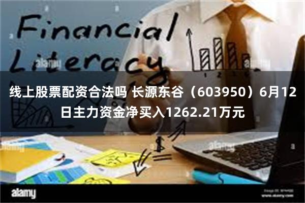 线上股票配资合法吗 长源东谷（603950）6月12日主力资金净买入1262.21万元