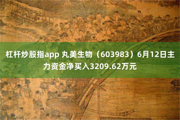 杠杆炒股指app 丸美生物（603983）6月12日主力资金净买入3209.62万元