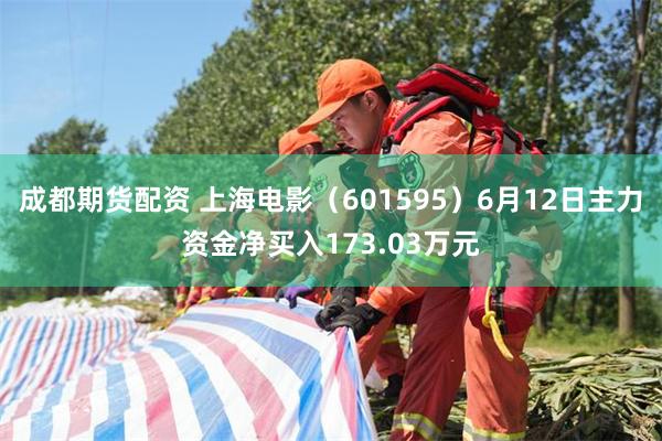 成都期货配资 上海电影（601595）6月12日主力资金净买入173.03万元