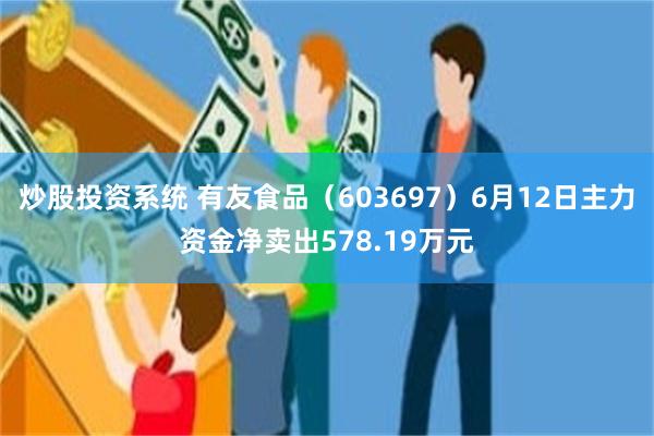 炒股投资系统 有友食品（603697）6月12日主力资金净卖出578.19万元