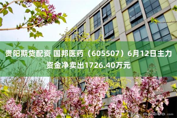 贵阳期货配资 国邦医药（605507）6月12日主力资金净卖出1726.40万元