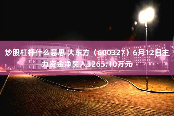 炒股杠杆什么意思 大东方（600327）6月12日主力资金净买入3265.10万元
