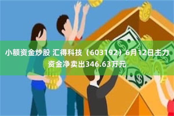 小额资金炒股 汇得科技（603192）6月12日主力资金净卖出346.63万元