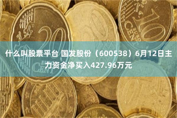 什么叫股票平台 国发股份（600538）6月12日主力资金净买入427.96万元