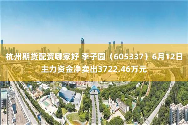 杭州期货配资哪家好 李子园（605337）6月12日主力资金净卖出3722.46万元