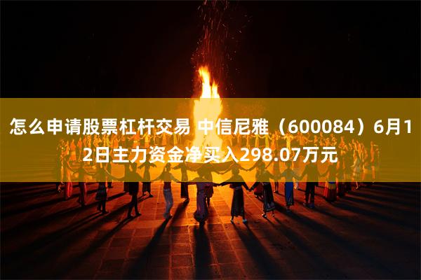 怎么申请股票杠杆交易 中信尼雅（600084）6月12日主力资金净买入298.07万元