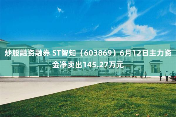 炒股融资融券 ST智知（603869）6月12日主力资金净卖出145.27万元