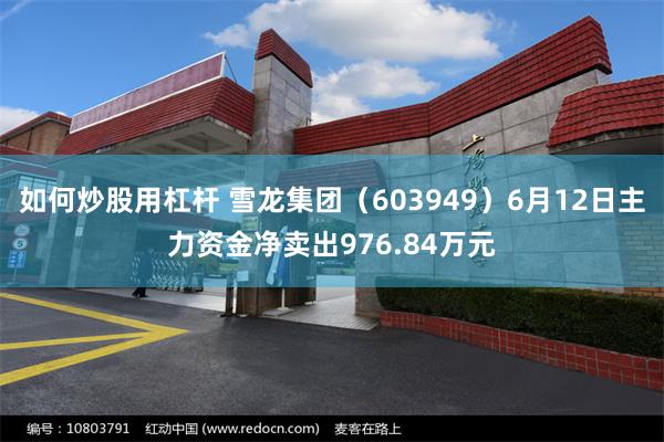 如何炒股用杠杆 雪龙集团(603949)6月12日主力资金净卖出976.84万元