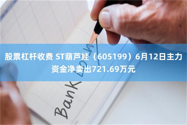 股票杠杆收费 ST葫芦娃（605199）6月12日主力资金净卖出721.69万元
