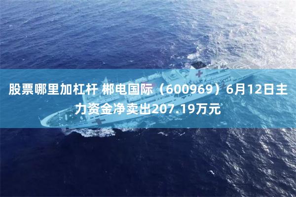 股票哪里加杠杆 郴电国际（600969）6月12日主力资金净卖出207.19万元