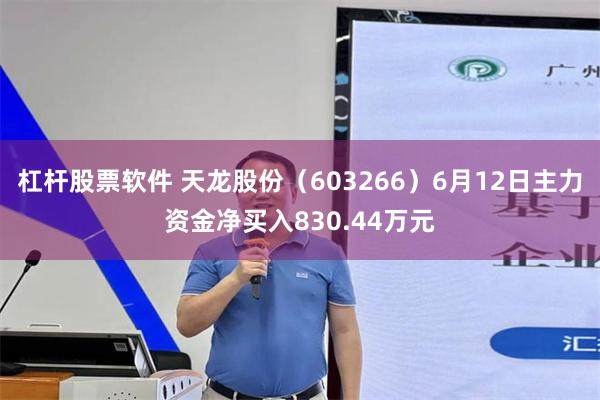 杠杆股票软件 天龙股份（603266）6月12日主力资金净买入830.44万元