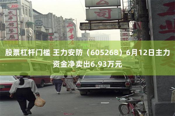 股票杠杆门槛 王力安防（605268）6月12日主力资金净卖出6.93万元