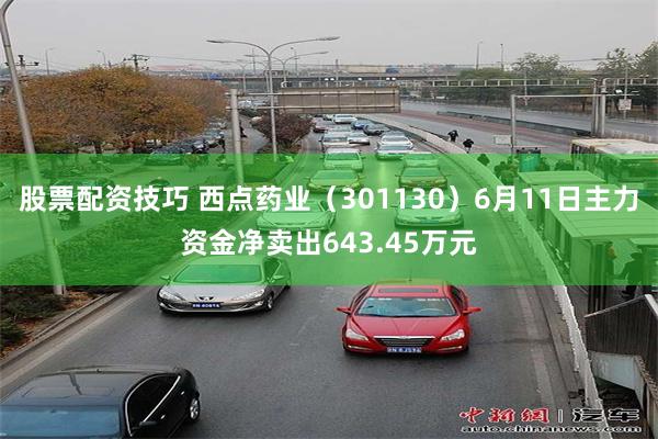 股票配资技巧 西点药业（301130）6月11日主力资金净卖出643.45万元