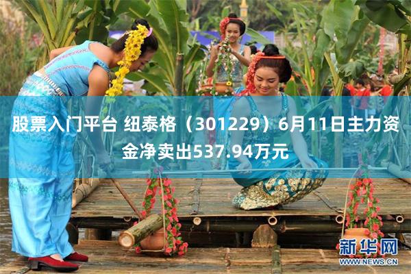 股票入门平台 纽泰格（301229）6月11日主力资金净卖出537.94万元