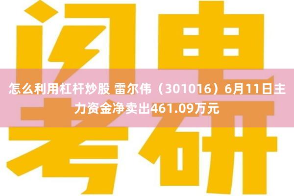 怎么利用杠杆炒股 雷尔伟（301016）6月11日主力资金净卖出461.09万元