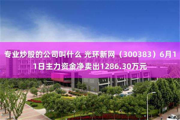 专业炒股的公司叫什么 光环新网（300383）6月11日主力资金净卖出1286.30万元