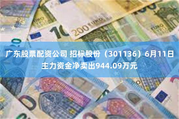 广东股票配资公司 招标股份（301136）6月11日主力资金净卖出944.09万元
