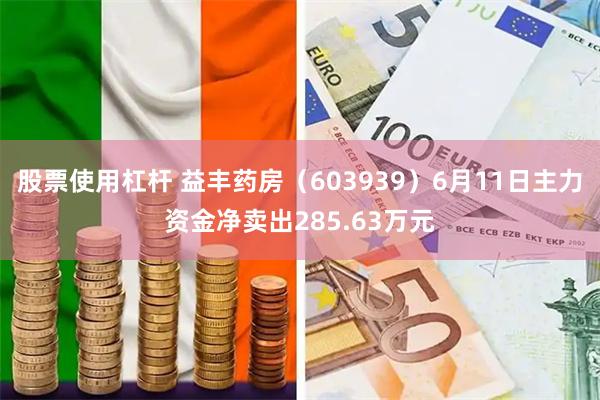 股票使用杠杆 益丰药房（603939）6月11日主力资金净卖出285.63万元