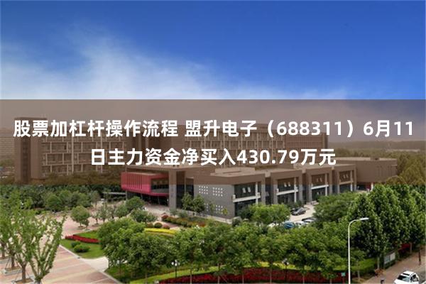 股票加杠杆操作流程 盟升电子（688311）6月11日主力资金净买入430.79万元