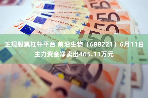 正规股票杠杆平台 前沿生物（688221）6月11日主力资金净卖出465.13万元