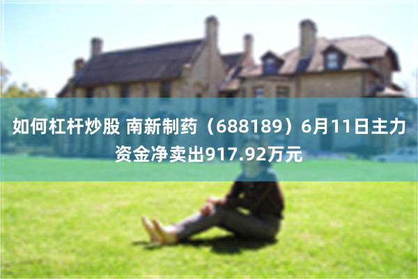 如何杠杆炒股 南新制药（688189）6月11日主力资金净卖出917.92万元