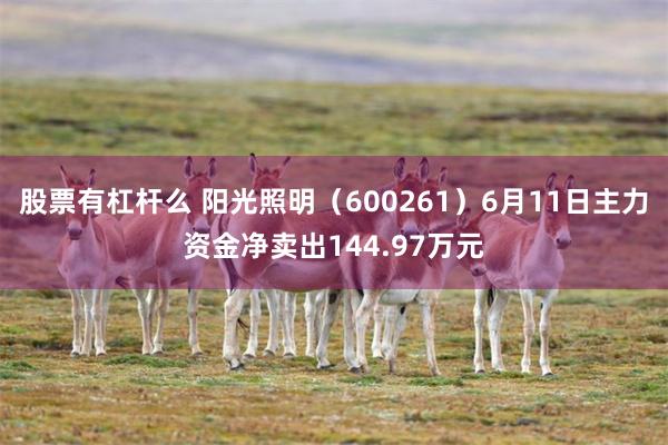 股票有杠杆么 阳光照明（600261）6月11日主力资金净卖出144.97万元
