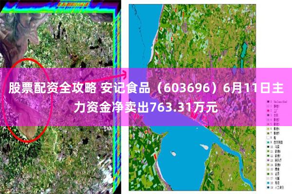 股票配资全攻略 安记食品（603696）6月11日主力资金净卖出763.31万元