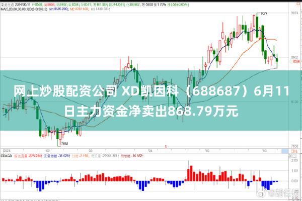 网上炒股配资公司 XD凯因科（688687）6月11日主力资金净卖出868.79万元