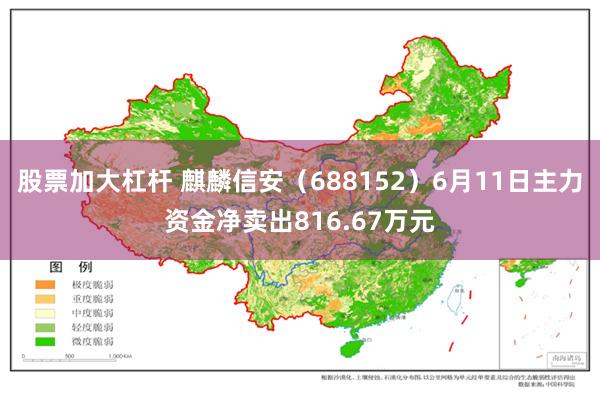 股票加大杠杆 麒麟信安（688152）6月11日主力资金净卖出816.67万元