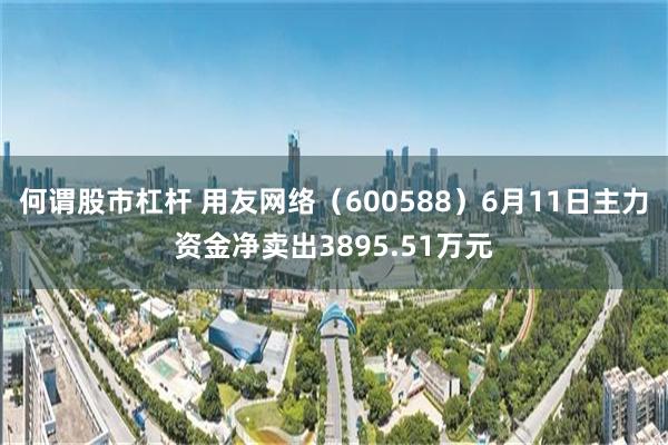 何谓股市杠杆 用友网络（600588）6月11日主力资金净卖出3895.51万元