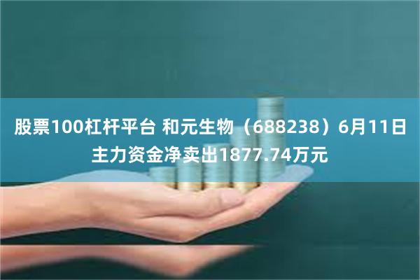 股票100杠杆平台 和元生物（688238）6月11日主力资金净卖出1877.74万元