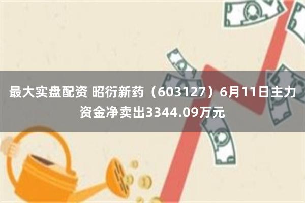 最大实盘配资 昭衍新药（603127）6月11日主力资金净卖出3344.09万元
