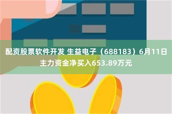 配资股票软件开发 生益电子（688183）6月11日主力资金净买入653.89万元