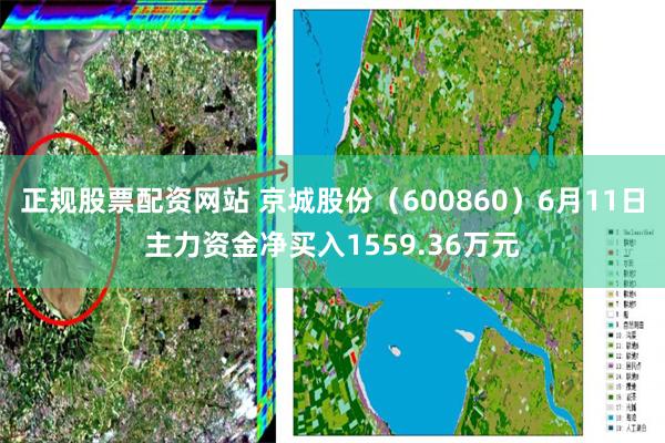 正规股票配资网站 京城股份（600860）6月11日主力资金净买入1559.36万元