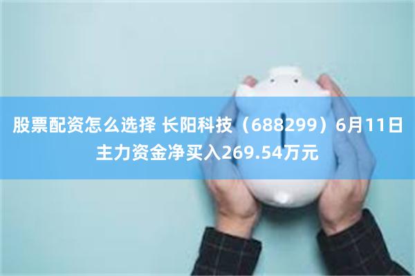 股票配资怎么选择 长阳科技（688299）6月11日主力资金净买入269.54万元