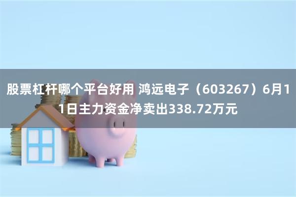 股票杠杆哪个平台好用 鸿远电子（603267）6月11日主力资金净卖出338.72万元